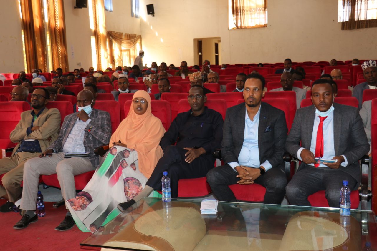 Government Diaspora consultation Meeting